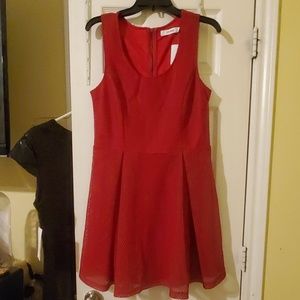 **SOLD** JustFab Red Mesh dress